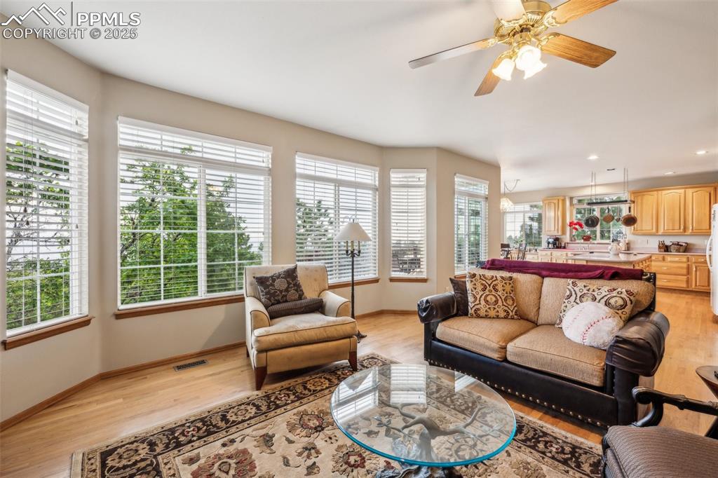 2915 Pegasus Drive Colorado Springs CO 80906