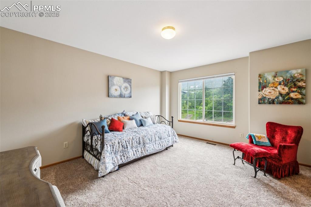 2915 Pegasus Drive Colorado Springs CO 80906