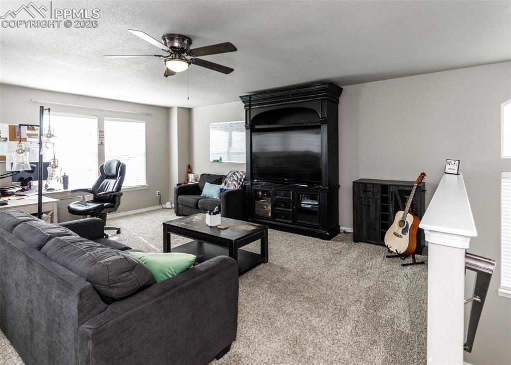 6170 Finglas Drive Colorado Springs CO 80923