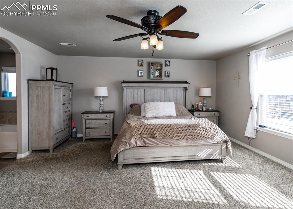 6170 Finglas Drive Colorado Springs CO 80923