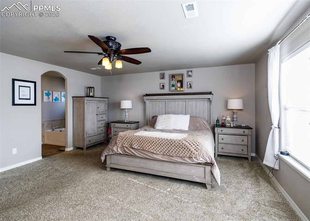 6170 Finglas Drive Colorado Springs CO 80923