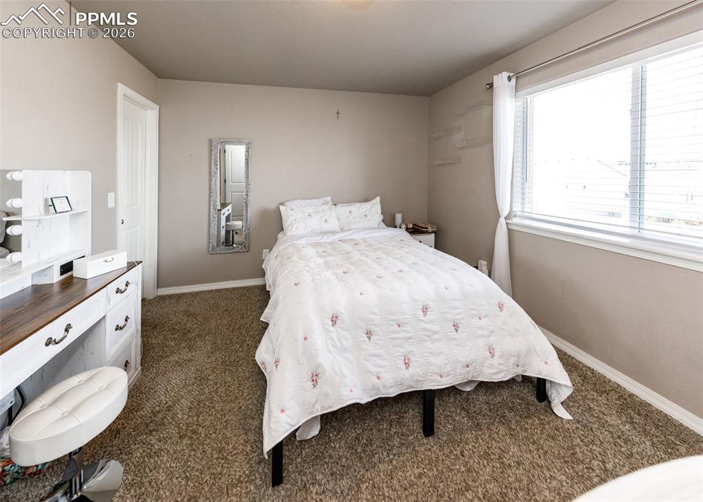 6170 Finglas Drive Colorado Springs CO 80923