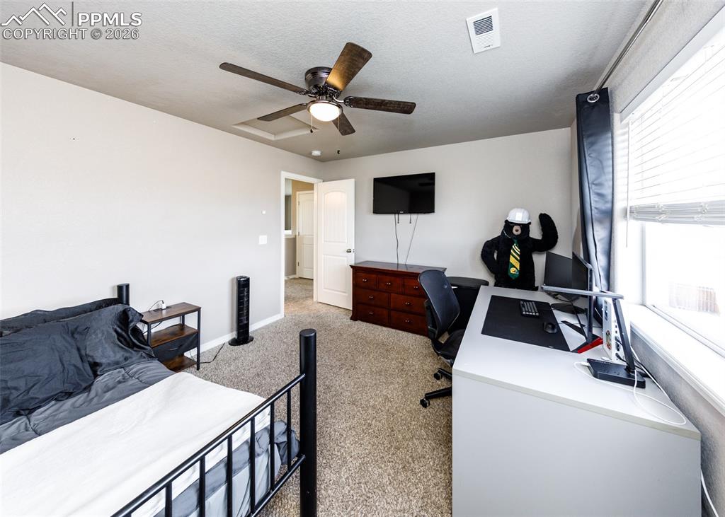 6170 Finglas Drive Colorado Springs CO 80923