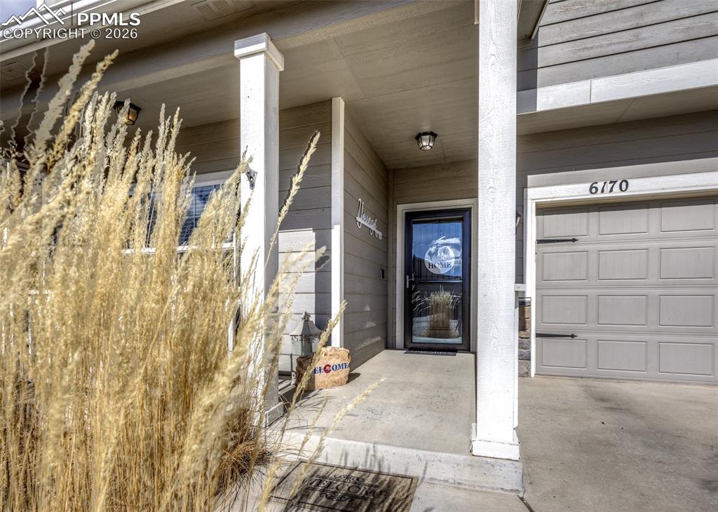 6170 Finglas Drive Colorado Springs CO 80923