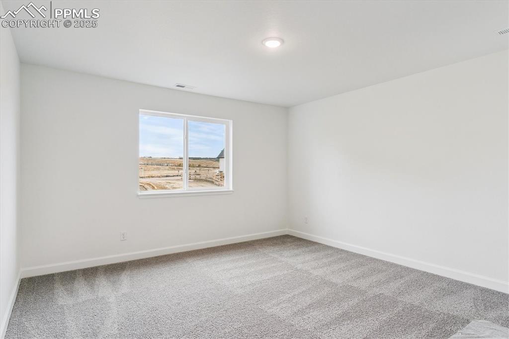 16869 Starfall Drive Monument CO 80132