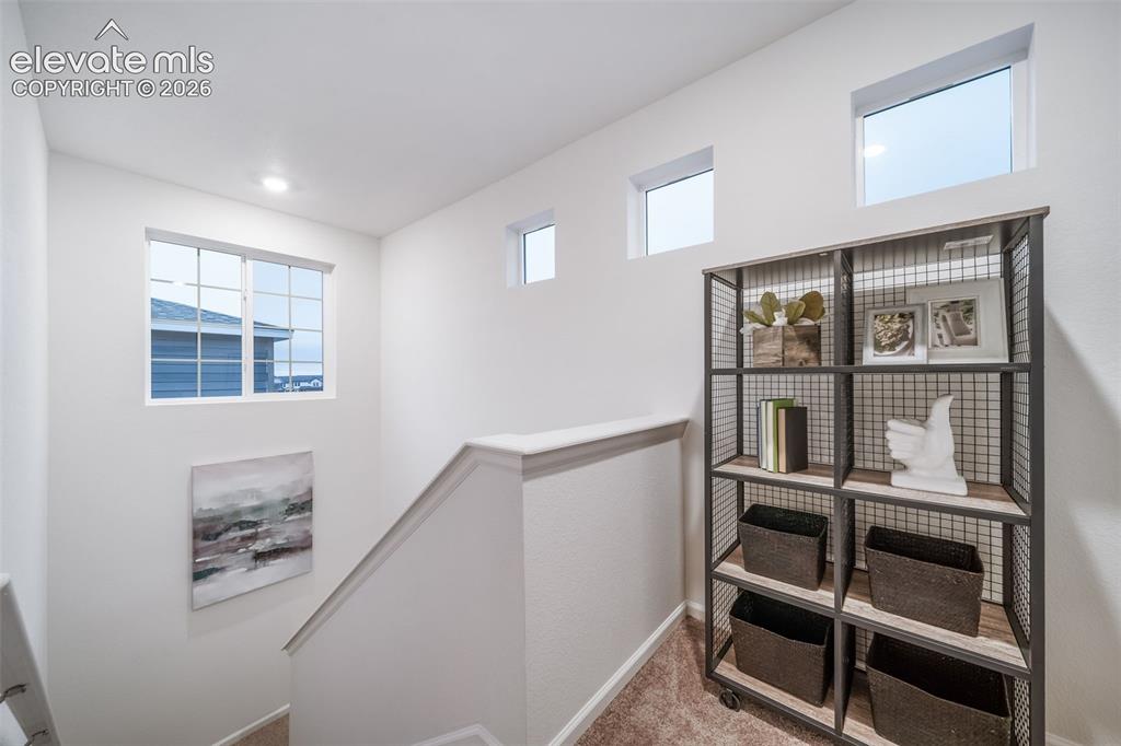 5787 Bowerman Lane Colorado Springs CO 80927