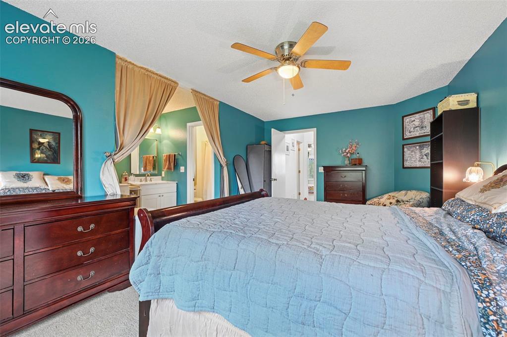 7834 Potomac Drive Colorado Springs CO 80920