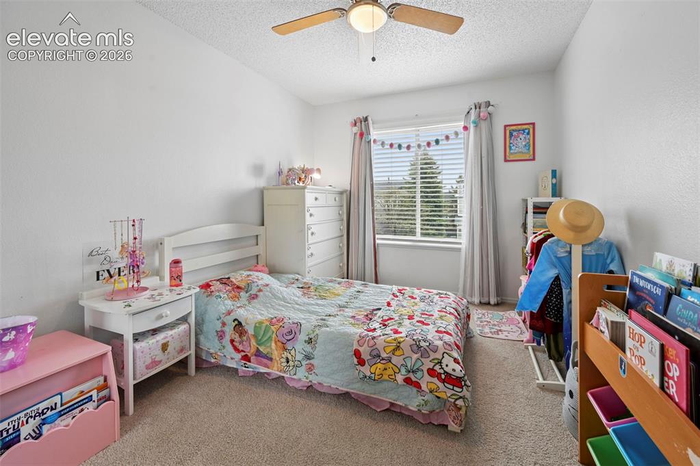 7834 Potomac Drive Colorado Springs CO 80920