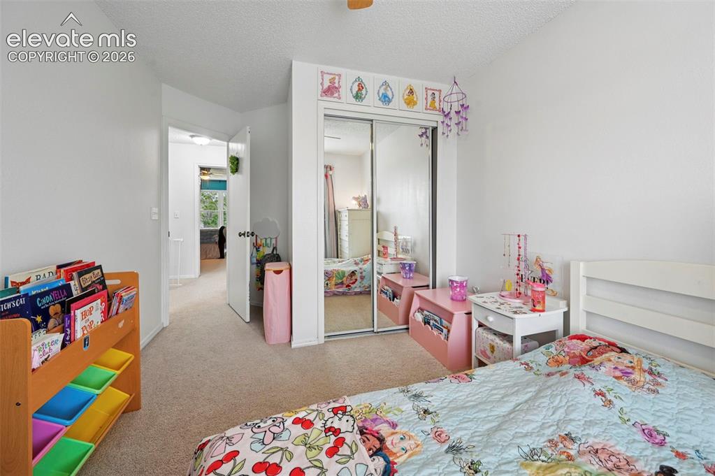 7834 Potomac Drive Colorado Springs CO 80920