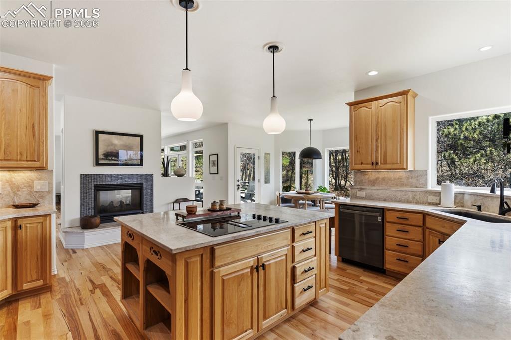 706 Regulus Drive Colorado Springs CO 80906