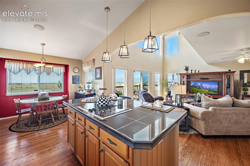 9582 Rockingham Drive Peyton CO 80831