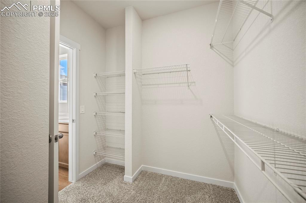 11844 Lost Peak Lane Colorado Springs CO 80925