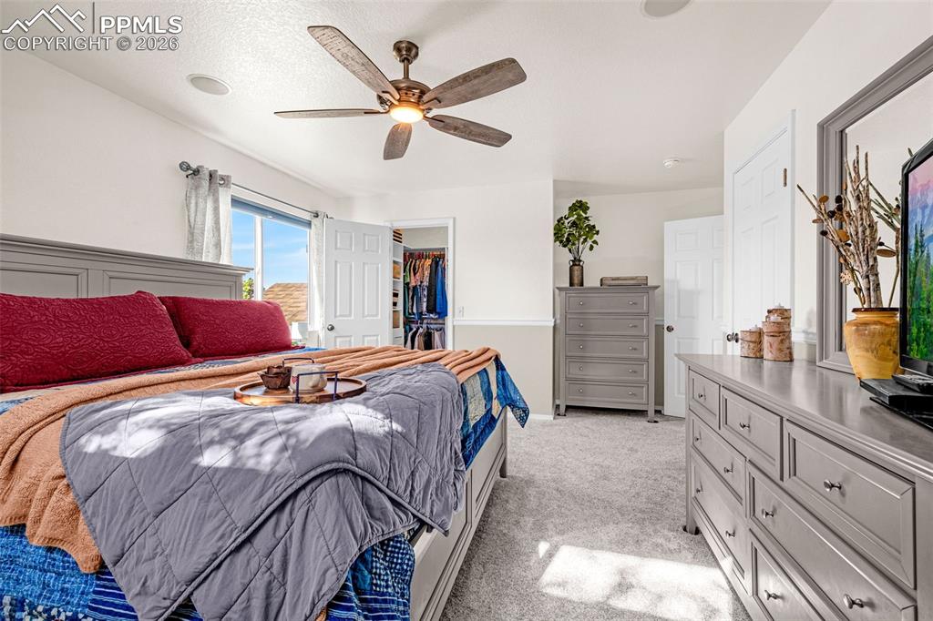 7747 Cordelle Lane Colorado Springs CO 80923