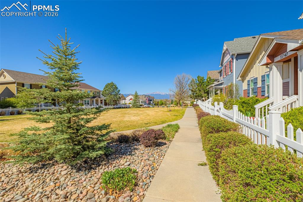 7747 Cordelle Lane Colorado Springs CO 80923