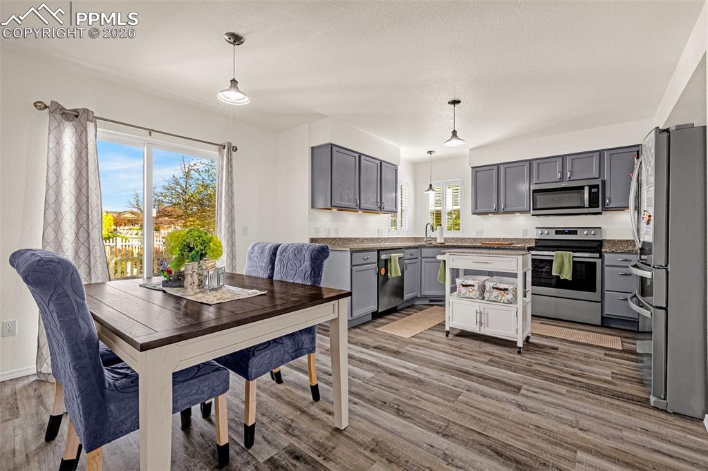 7747 Cordelle Lane Colorado Springs CO 80923