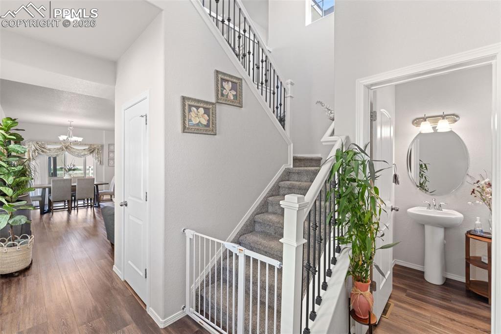 3768 Vineyard Circle Colorado Springs CO 80922