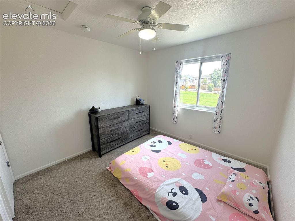 8318 Silver Glen Drive Fountain CO 80817