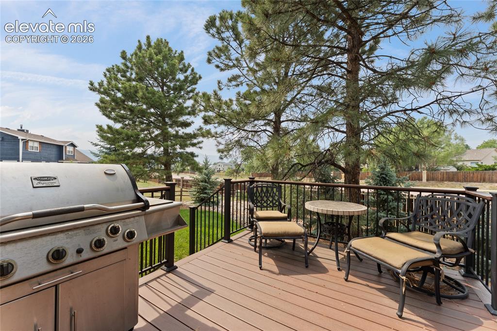 15390 Copperfield Drive Colorado Springs CO 80921