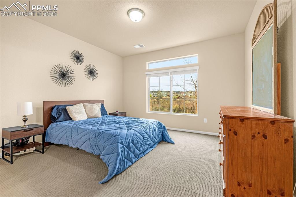 9206 Streamside Trail Fountain CO 80817