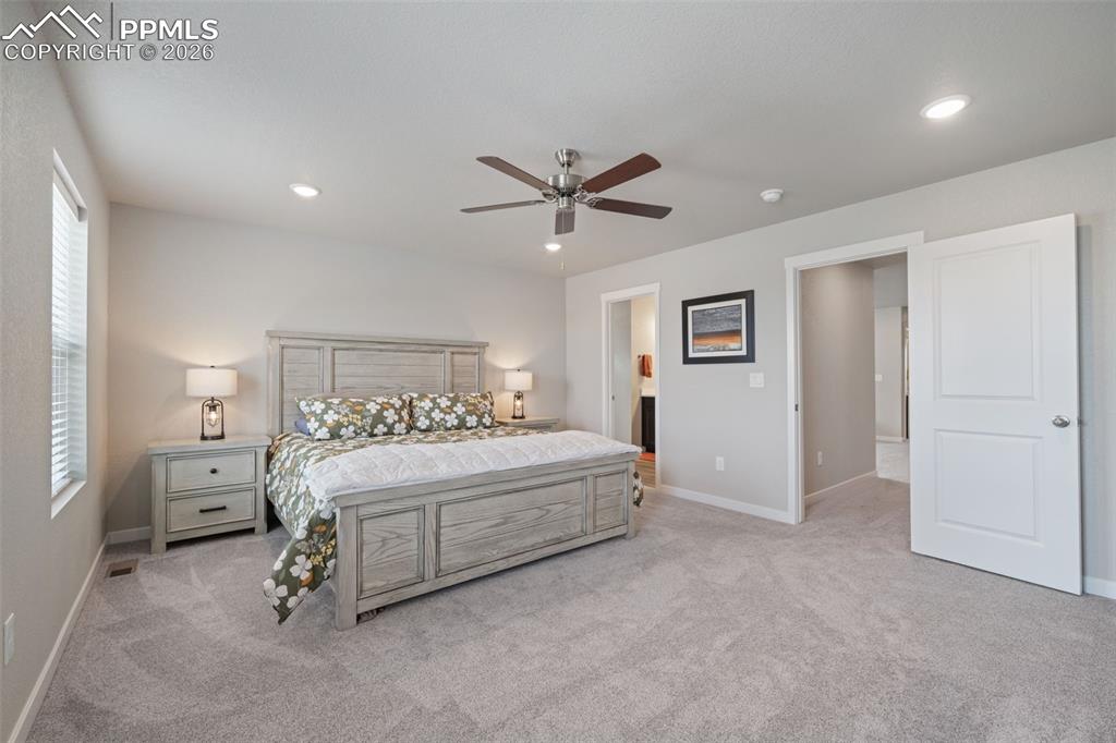 5105 Beartrack Point Colorado Springs CO 80925