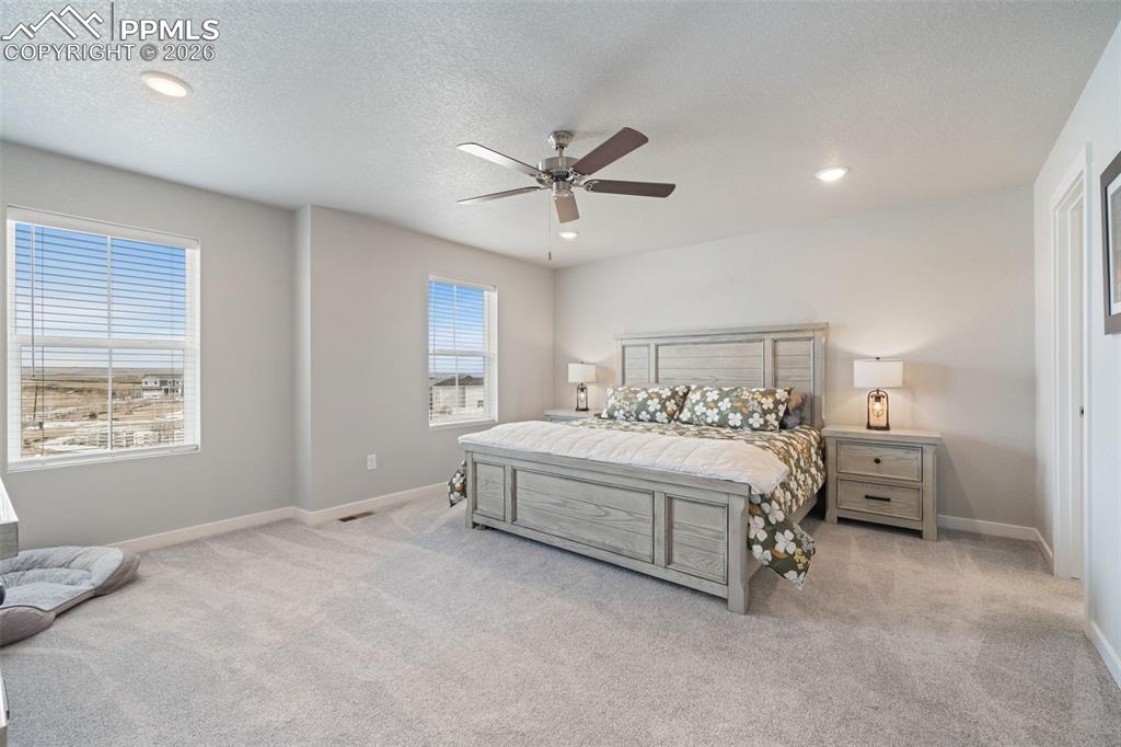 5105 Beartrack Point Colorado Springs CO 80925