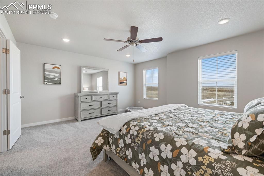 5105 Beartrack Point Colorado Springs CO 80925