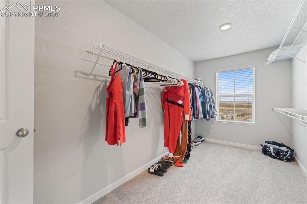 5105 Beartrack Point Colorado Springs CO 80925