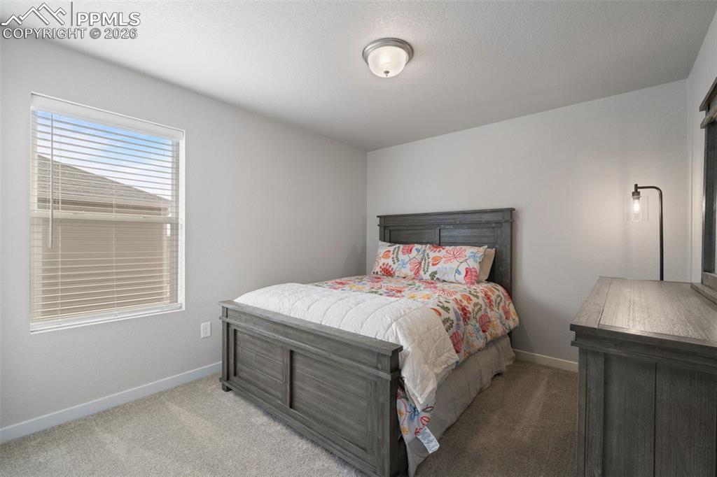 5105 Beartrack Point Colorado Springs CO 80925