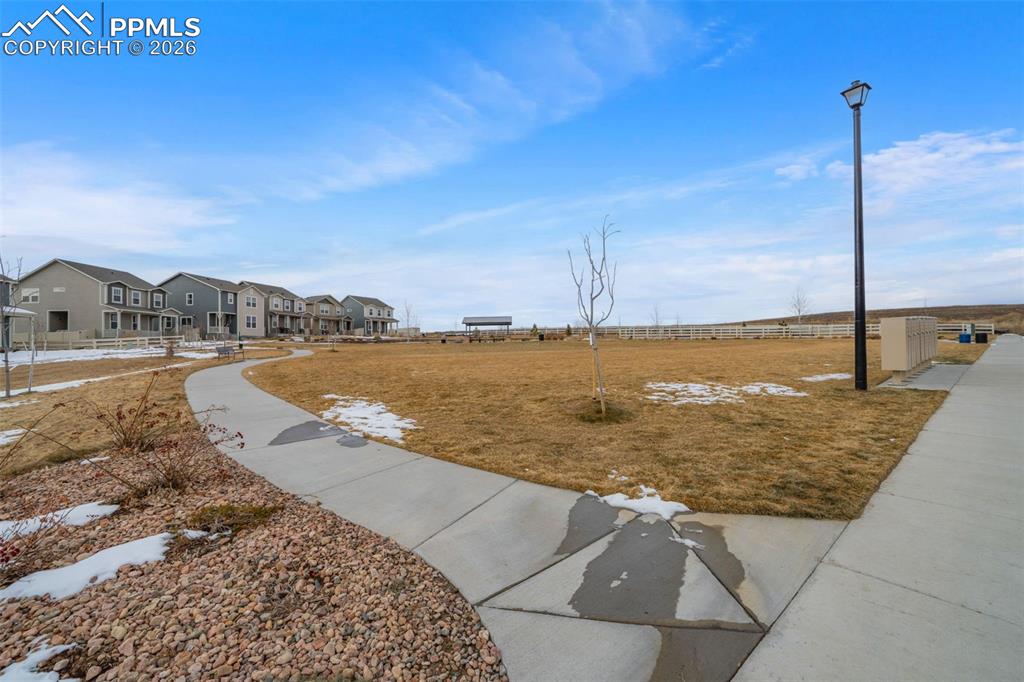 5105 Beartrack Point Colorado Springs CO 80925