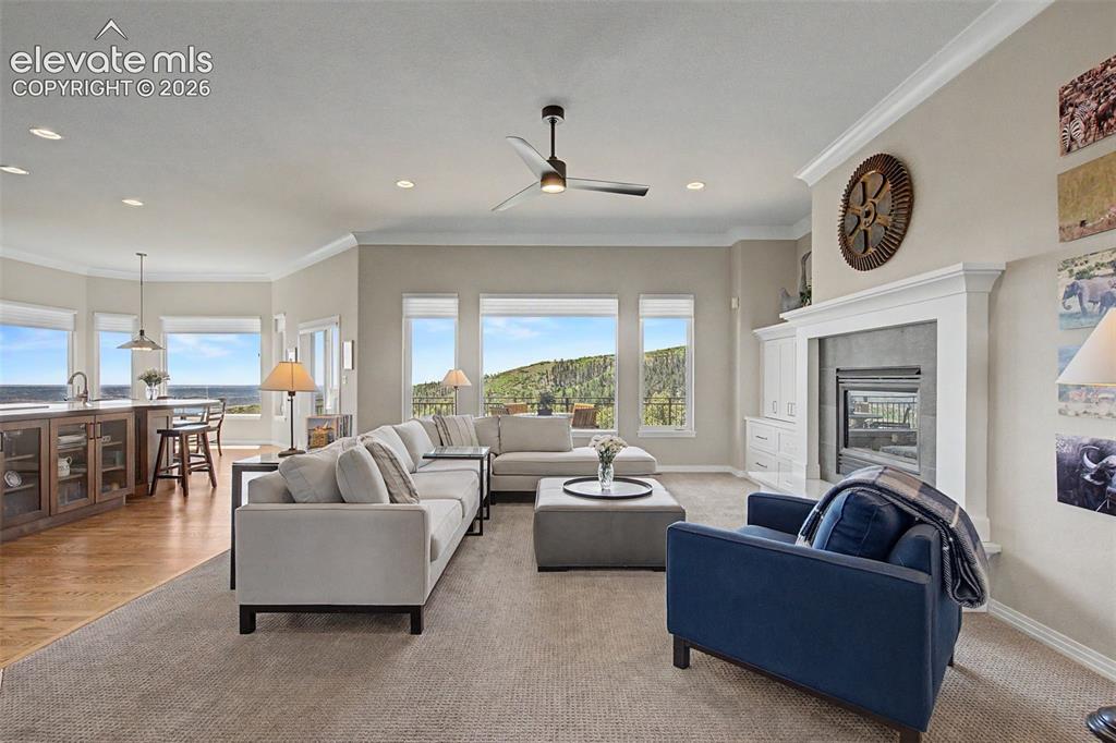 3355 Angelstone Point Colorado Springs CO 80919
