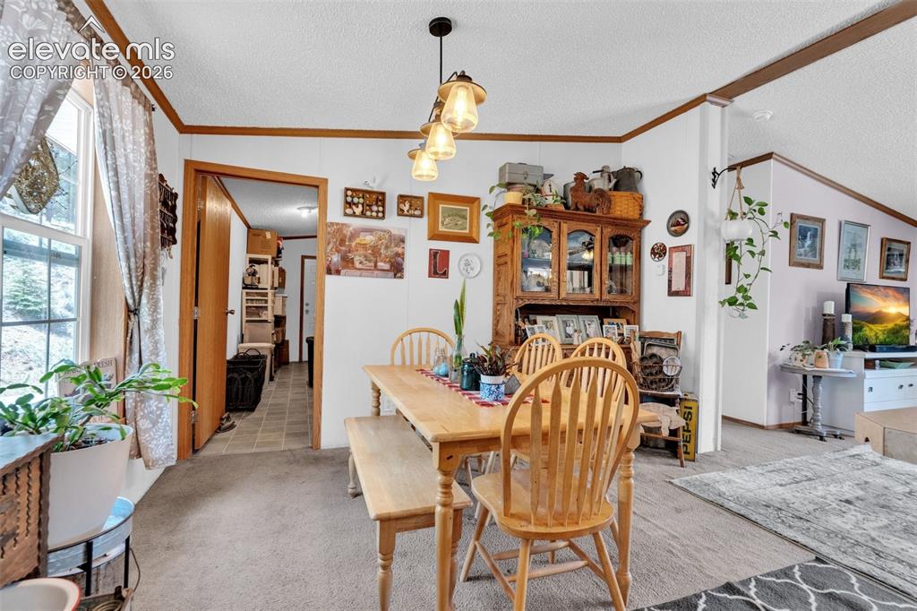 44 Silver Trail Florissant CO 80816