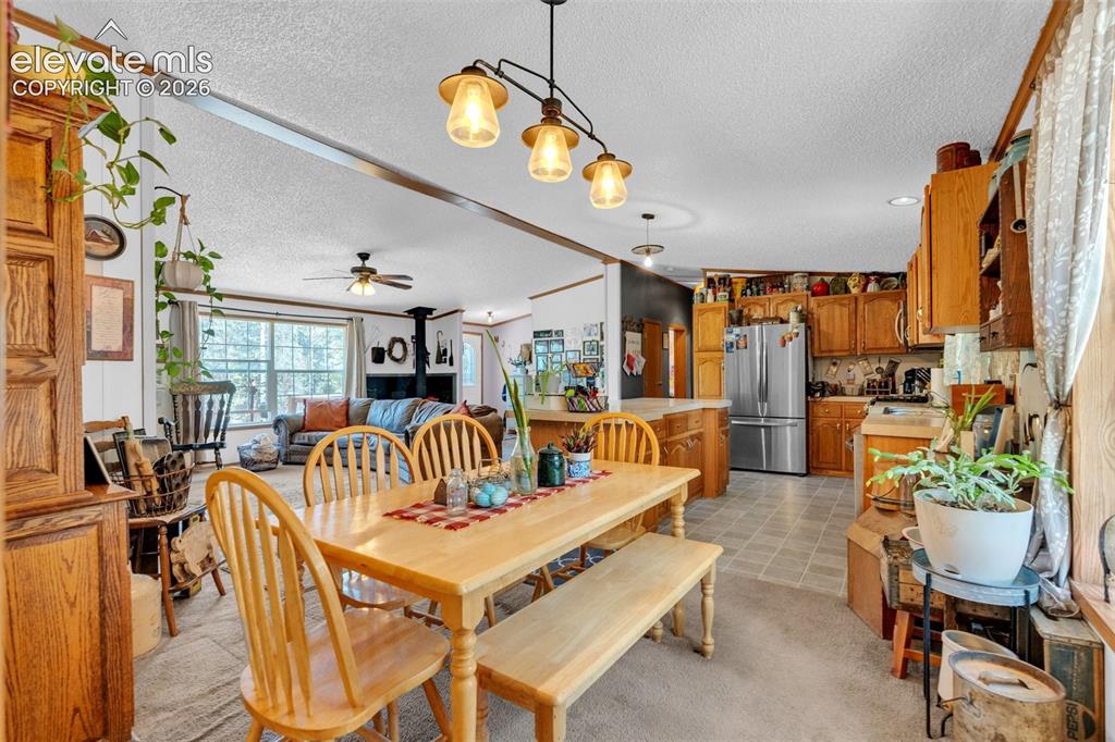44 Silver Trail Florissant CO 80816