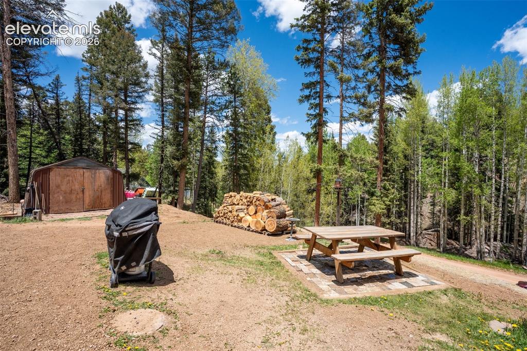 44 Silver Trail Florissant CO 80816