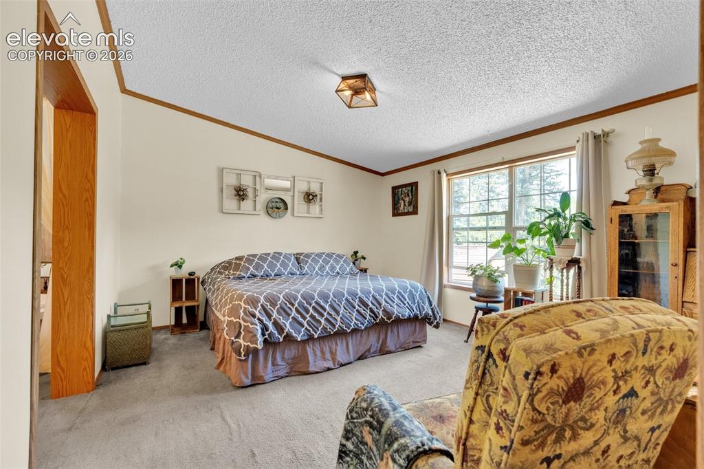 44 Silver Trail Florissant CO 80816
