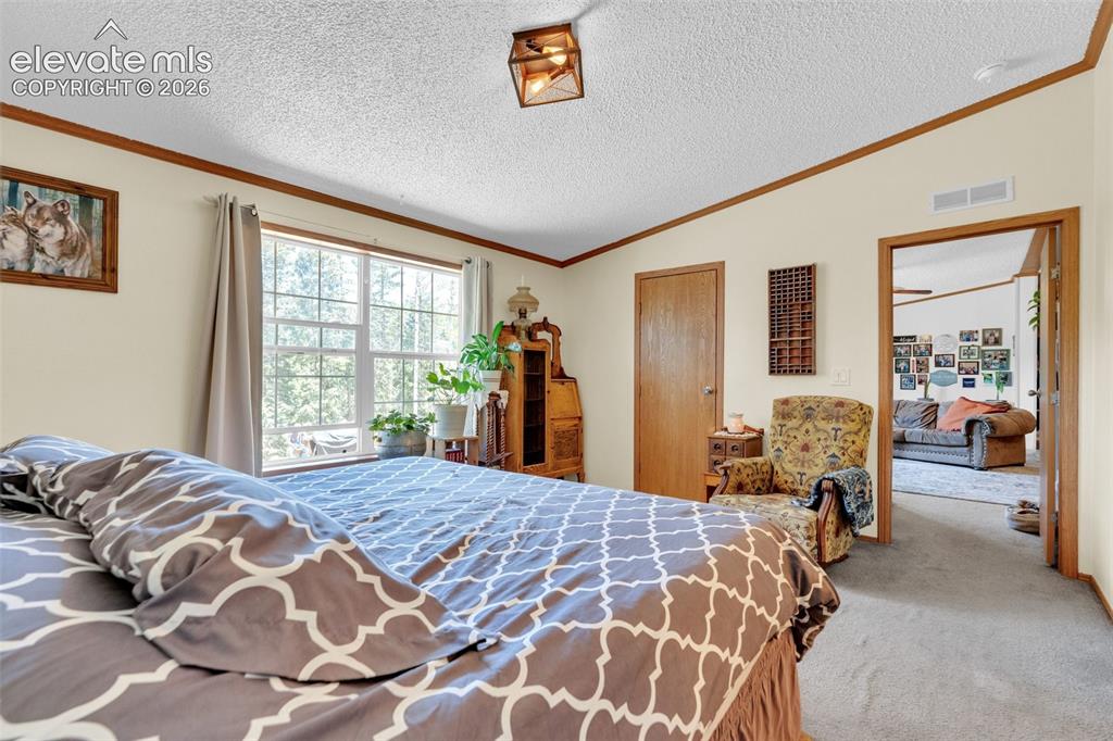 44 Silver Trail Florissant CO 80816