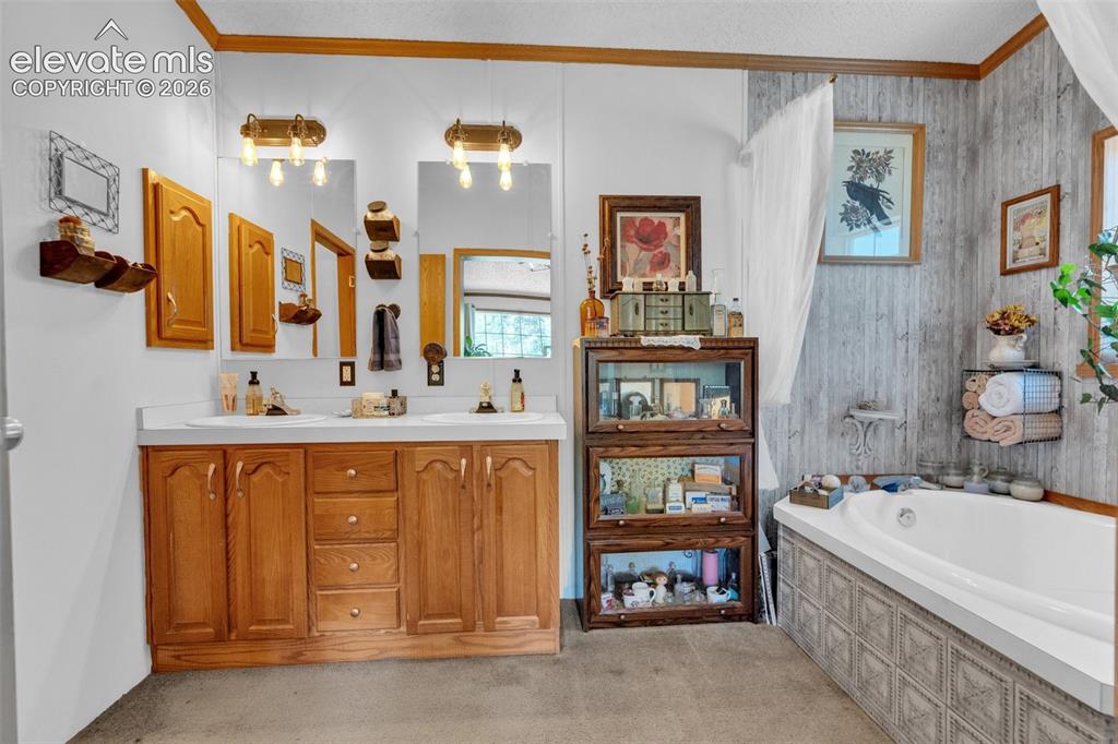44 Silver Trail Florissant CO 80816