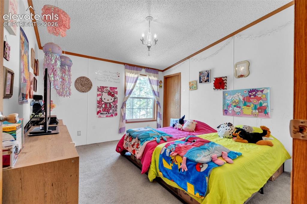 44 Silver Trail Florissant CO 80816