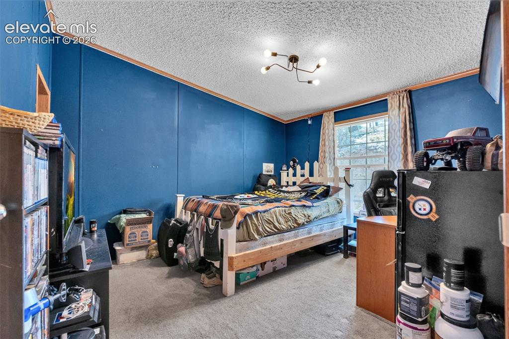 44 Silver Trail Florissant CO 80816
