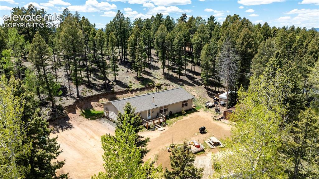 44 Silver Trail Florissant CO 80816