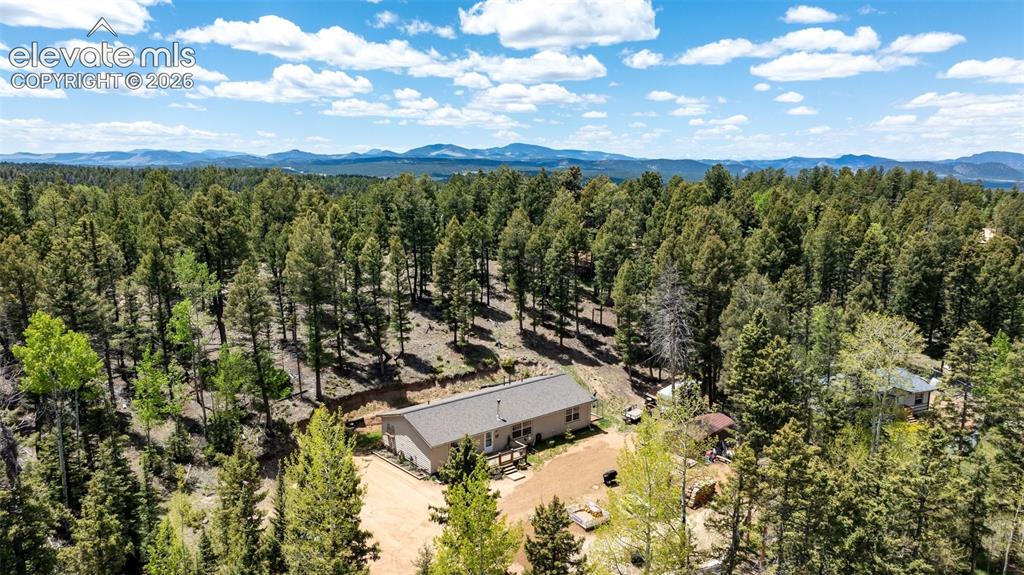 44 Silver Trail Florissant CO 80816