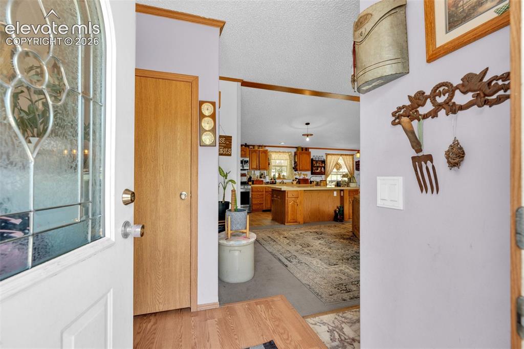 44 Silver Trail Florissant CO 80816