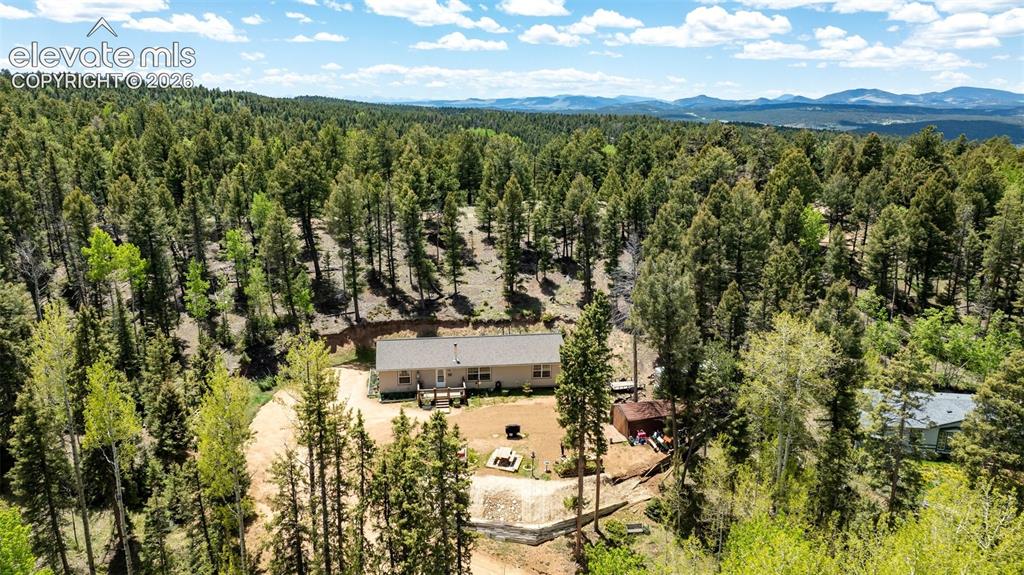 44 Silver Trail Florissant CO 80816