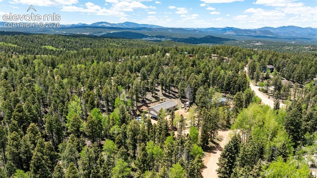 44 Silver Trail Florissant CO 80816