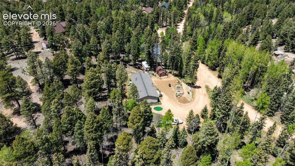 44 Silver Trail Florissant CO 80816