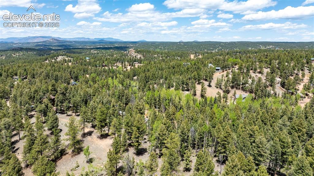 44 Silver Trail Florissant CO 80816