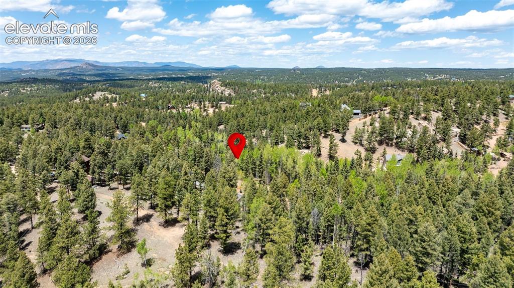 44 Silver Trail Florissant CO 80816