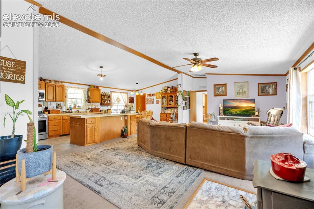 44 Silver Trail Florissant CO 80816