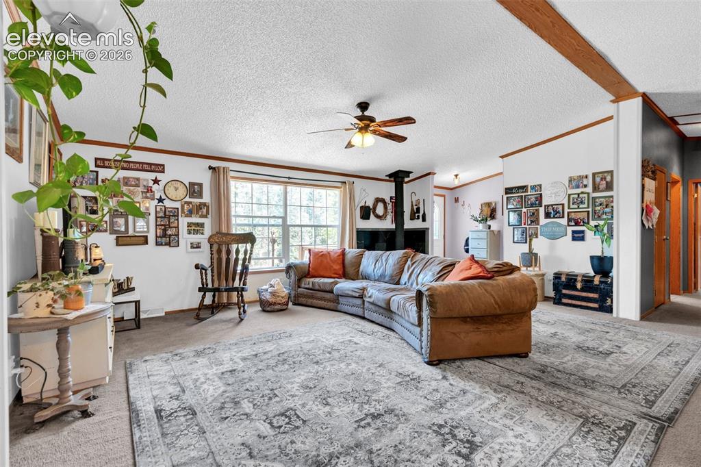 44 Silver Trail Florissant CO 80816