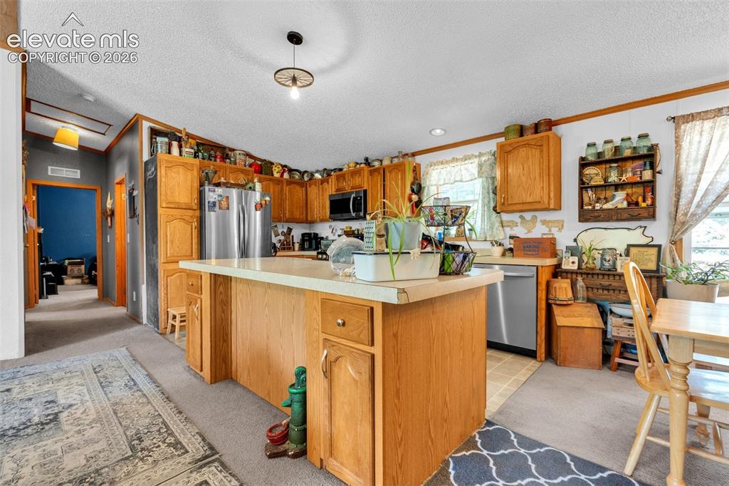 44 Silver Trail Florissant CO 80816