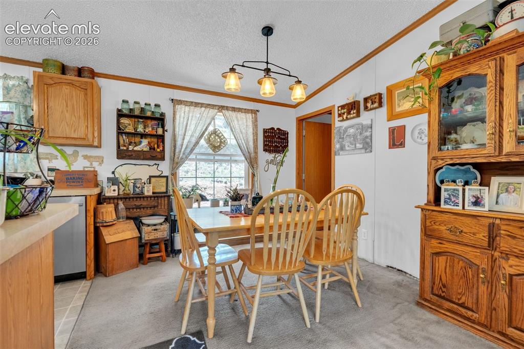 44 Silver Trail Florissant CO 80816